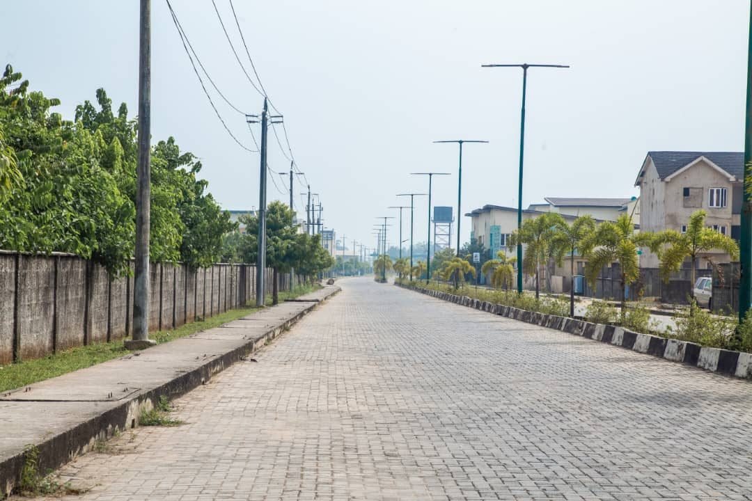 Paved, interlocked estate street lined with palm trees and street lighting